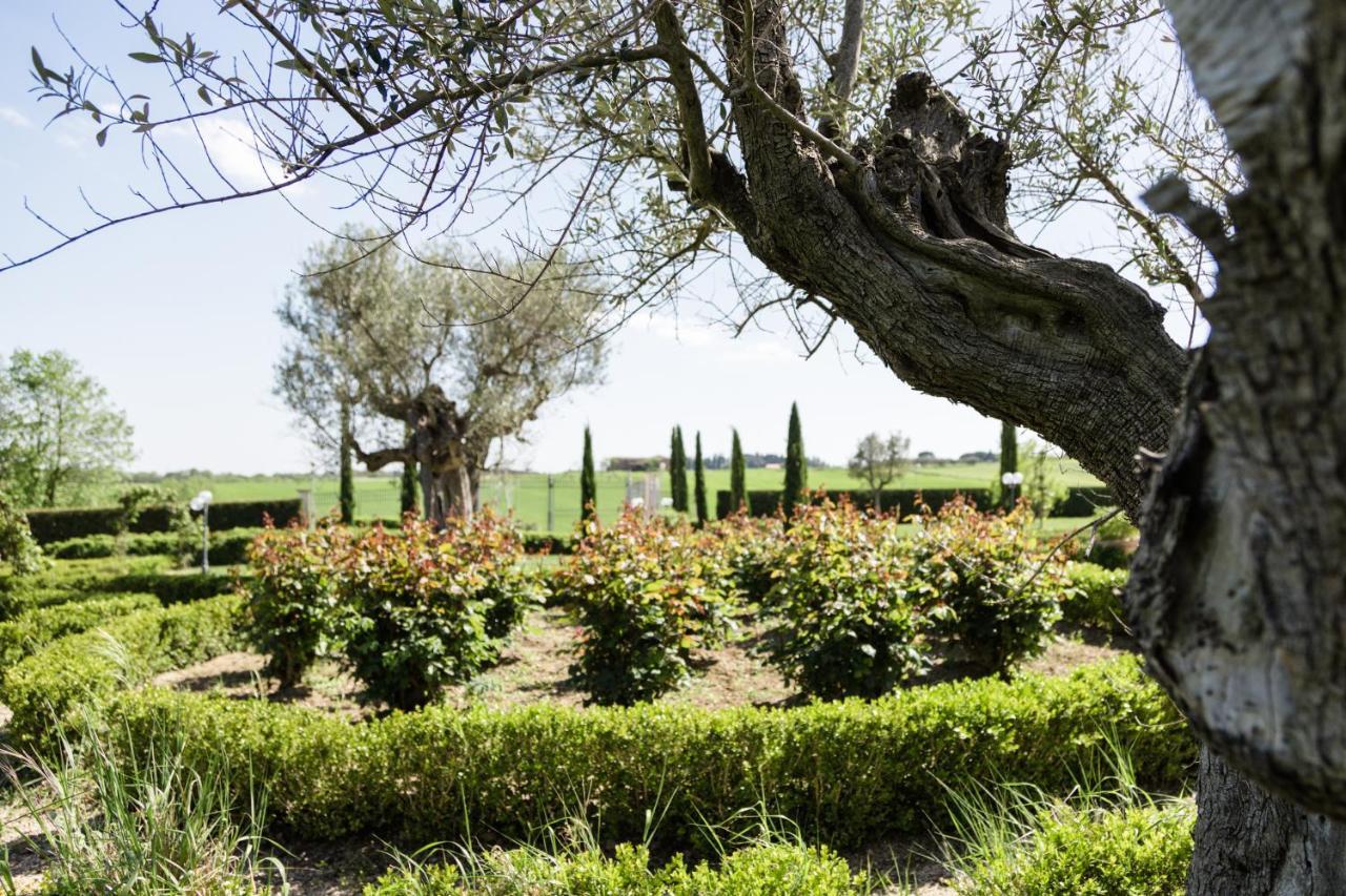 Podere San Giuseppe Кастильоне-дель-Лаго Экстерьер фото